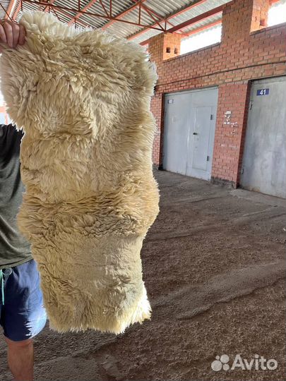 Шкура Ламы