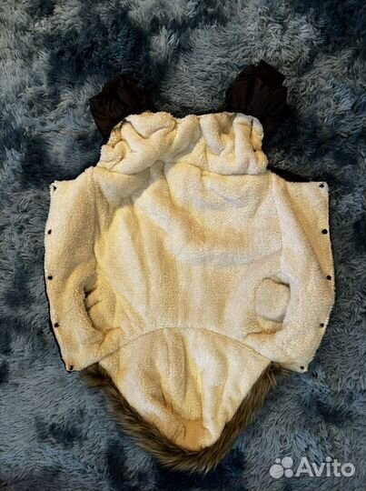 Одежда для собак