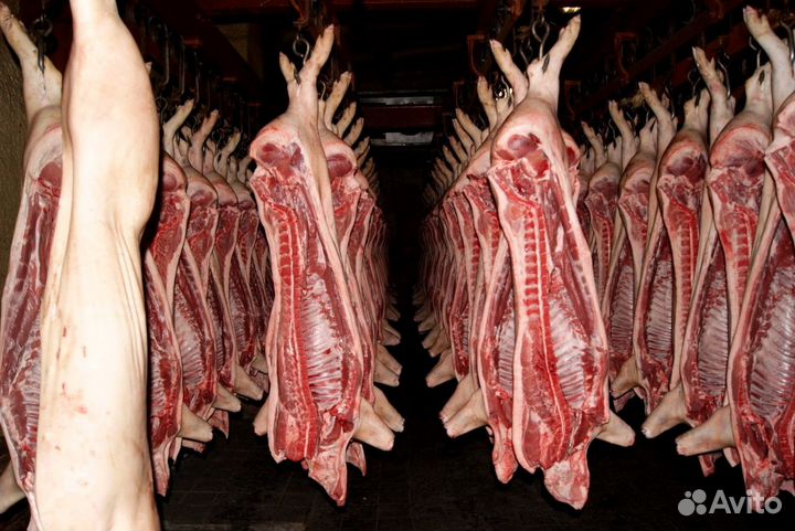 Свинина полутуши