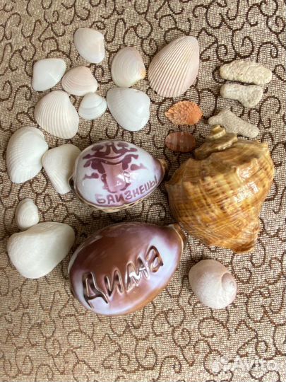 Ракушки и кораллы