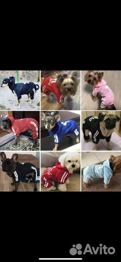 Комбинезон для собаки или кошки