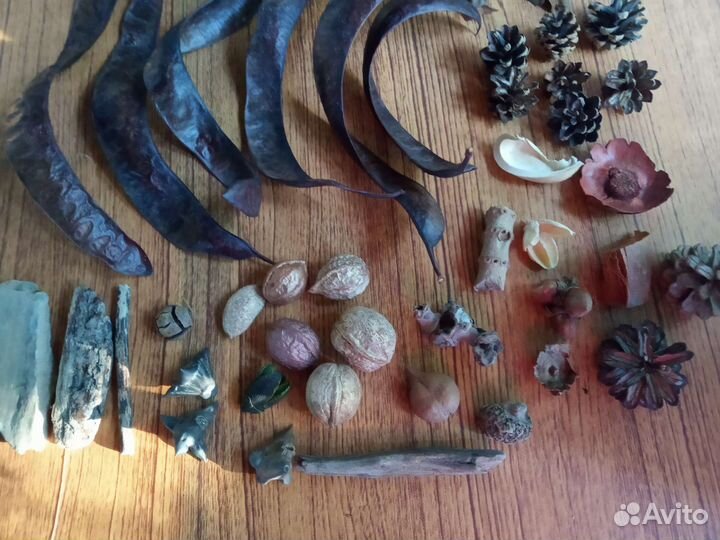 Ракушки набор, наборы для творчества