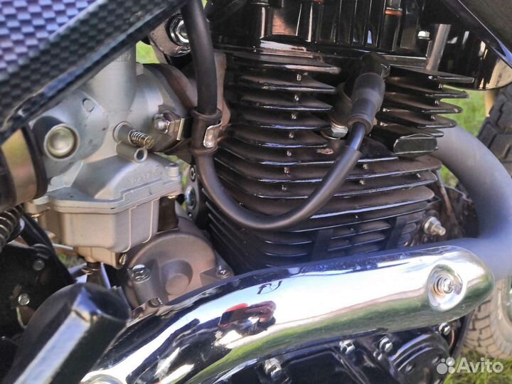 Racer panther 300