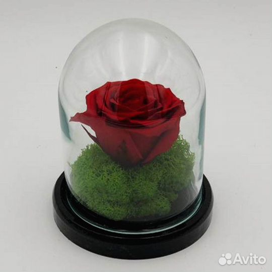 Роза в колбе. От производителя