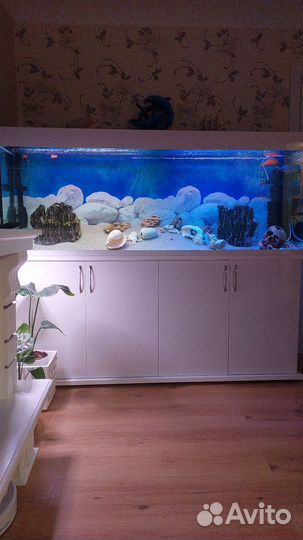 Аквариум с тумбой белый 650 литров