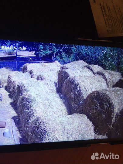 Сено люцерны в круглых тюках