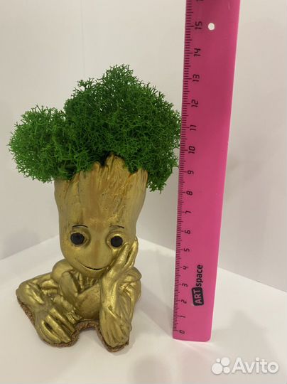 Грут со мхом