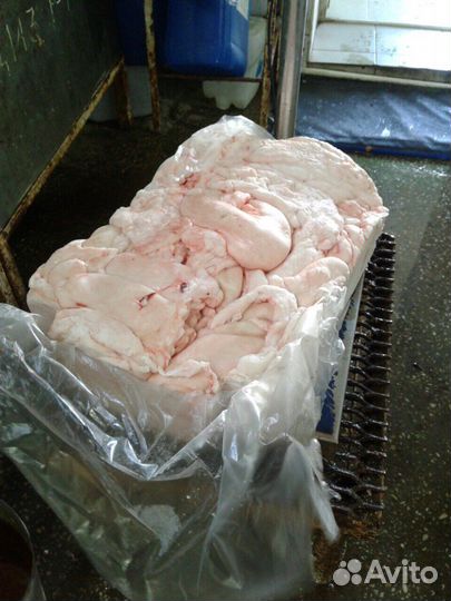 Жир внутренний свинной