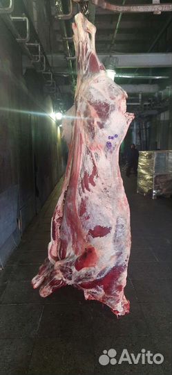 Говядина 1 кат. коровы в п/т, зам. Только оптом