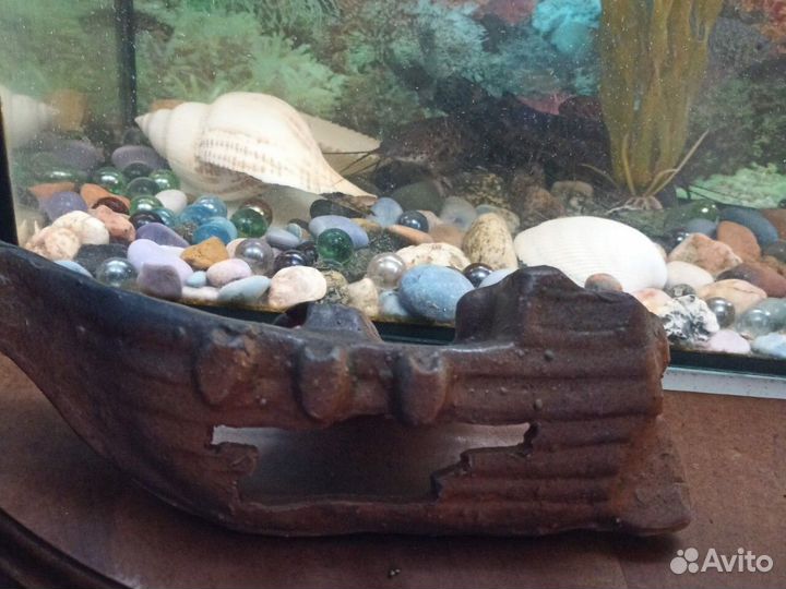 Аквариум с рыбками и всеми принадлежностями