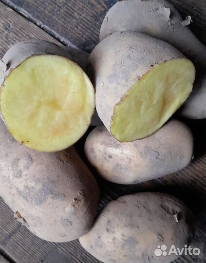 Картофель Элитный Императрица