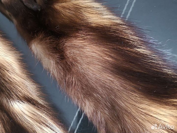 Меховой воротник лиса, хорь