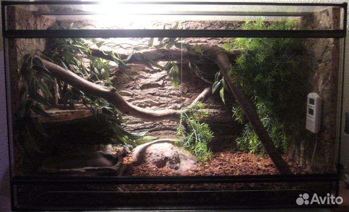 Террариум для змей с оборудованием и декором