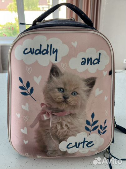 Рюкзак школьный ортопедический