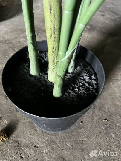 Искусственные растения для декора