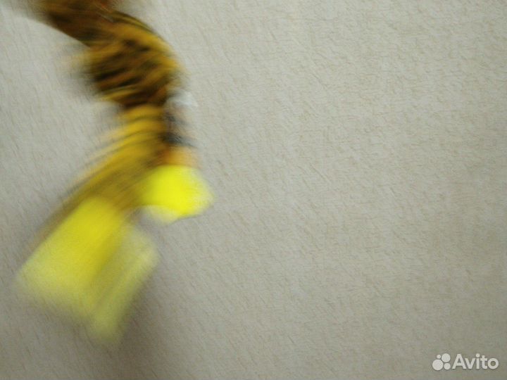 Хагис вагис