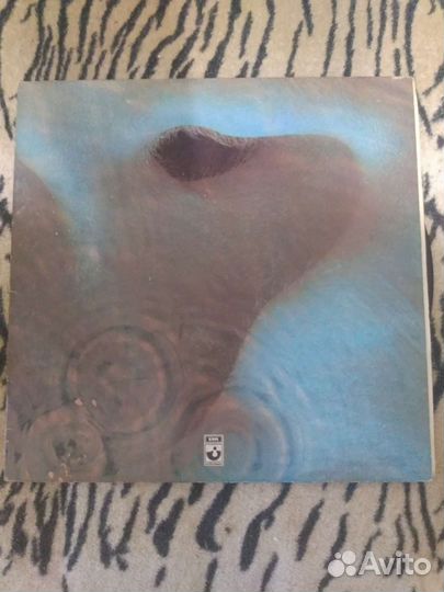 Виниловая пластинка