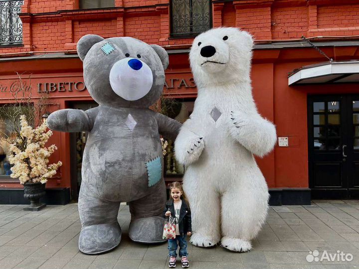 Белый Мишка поздравление, Панда, Медведь