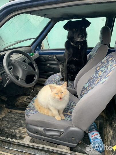 Ока 4х4 вездеход