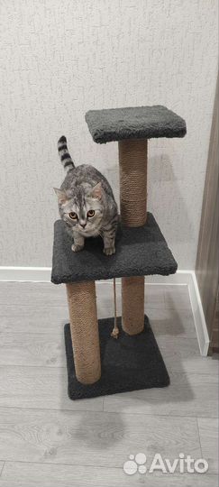 Стойка когтеточка для кошек