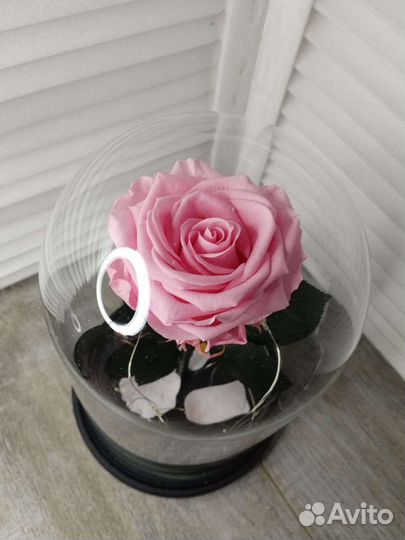 Роза в колбе Подсветка Подарок шары