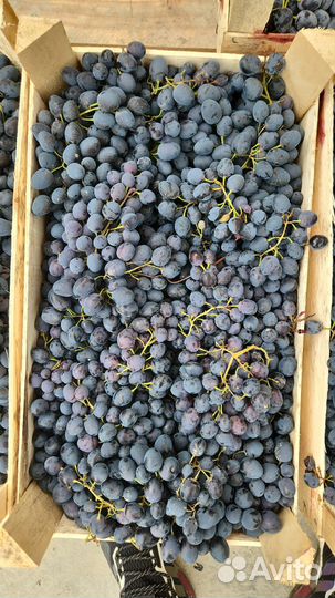 Овощи и фрукты