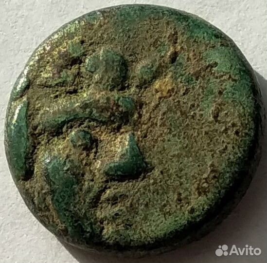 Античная монета Боспора. Фанагория.Оригинал