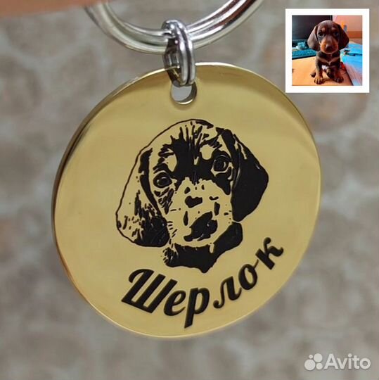 Адресники для собак, брелок с qr кодом