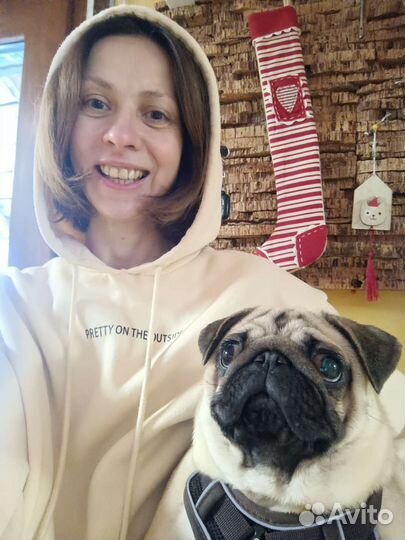 Выгул собак