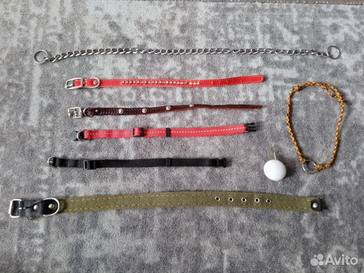 Амуниция и одежда для собак