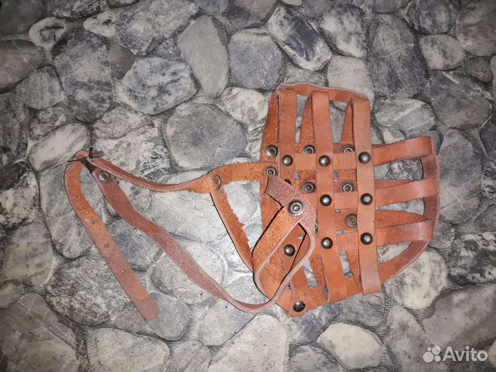 Намордник для собак