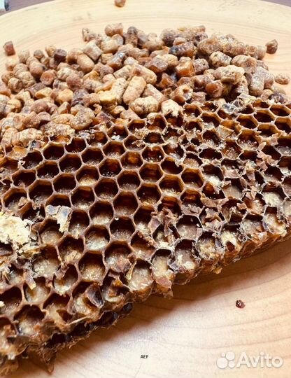 Перга из Алтая