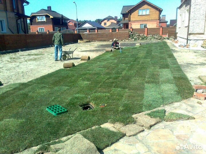 Рулонный газон от производителя. Укладка газона