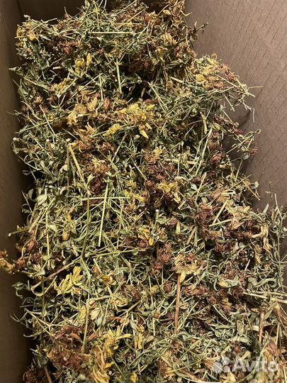 Сушеные травы душица, зверобой