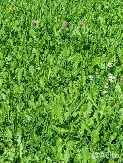 Сено в мешках