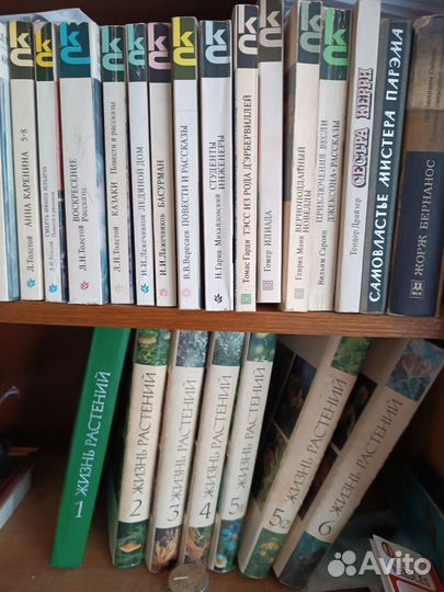 Книги. Подписка 