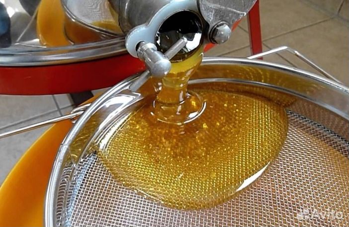 Мёд натуральный алтайский оптом от 16 кг