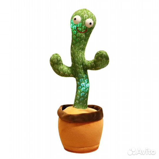 Танцующий кактус