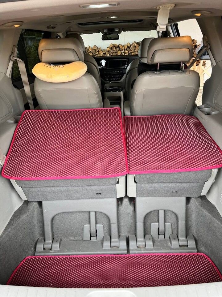 Kia Carnival: фото владельца