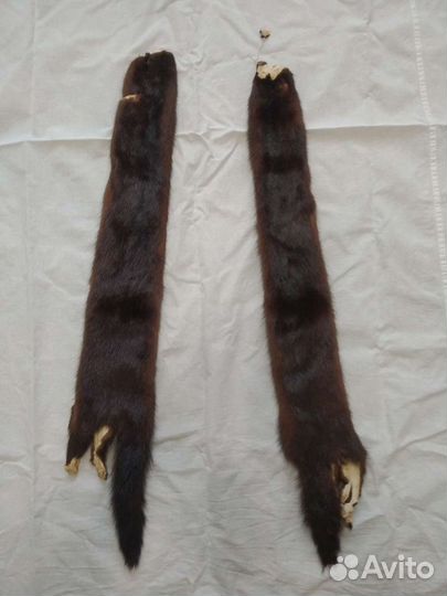 Шкурки животного