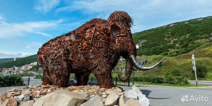 Турпутевка на Kamchatku 7 дней