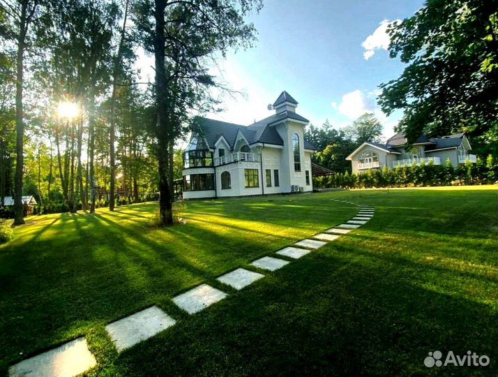 Рулонный газон 