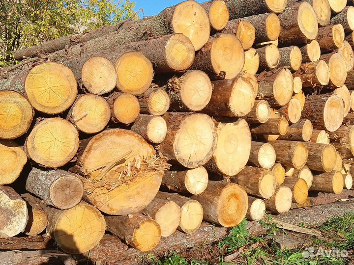 Лес кругляк пиловочник сосна ель