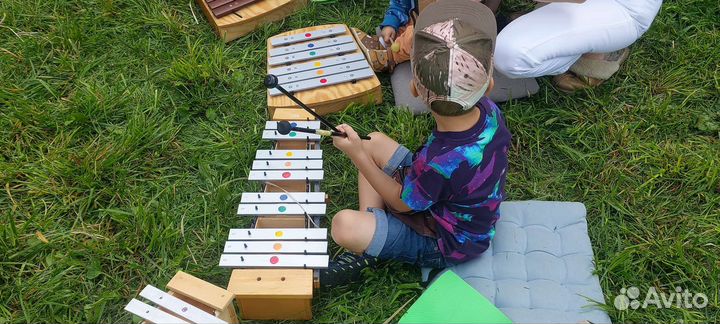 Не Аниматоры. Выездные музыкальные мероприятия