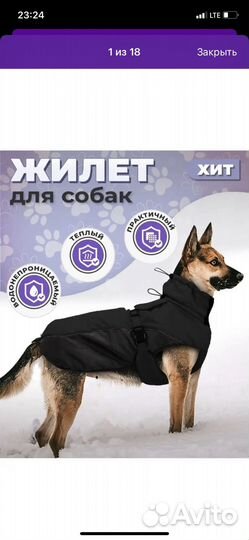 Жилет для собак