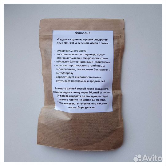 Сидерат. Фацелия