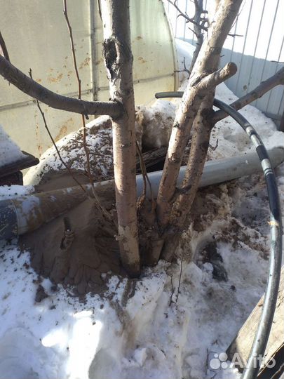 Чистка скважин методом эрлифт