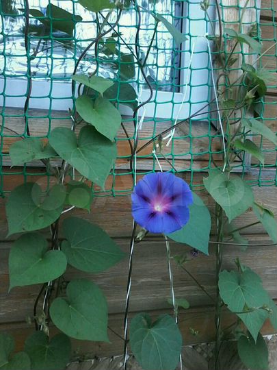 Участок 10,73 га (СНТ, ДНП)