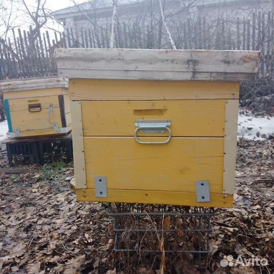 Улей для пчел