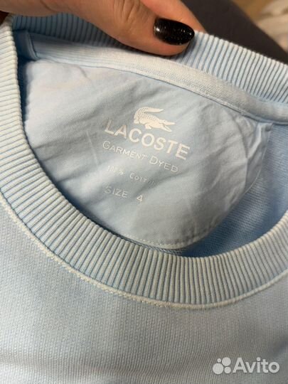 Свитшот мужской lacoste